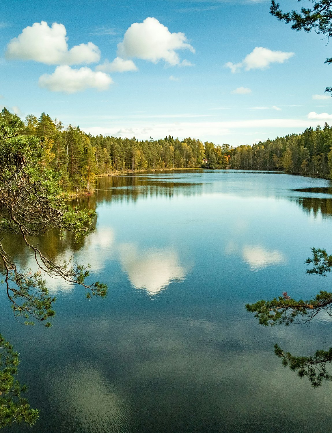 Nordic forest lake with still water reflecting the sky and treeline